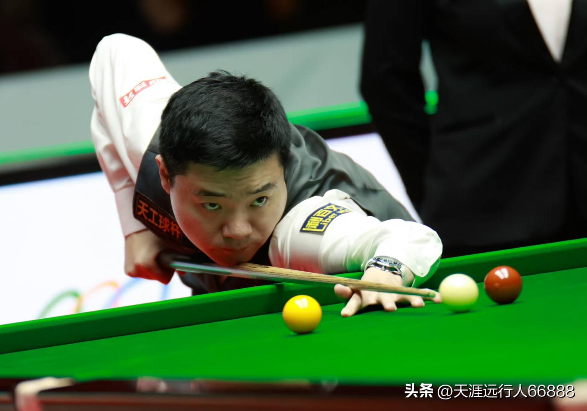 的赞助机会 的赞助机会