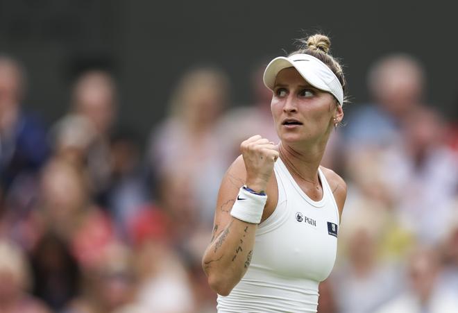 更关注于捕 更关注于捕